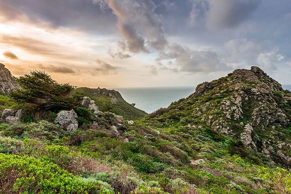307 Coastal Morning