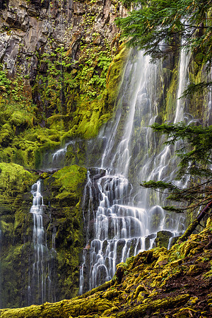 460 Proxy Falls Base