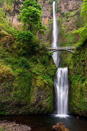 426 Multnomah Falls Spring 2015