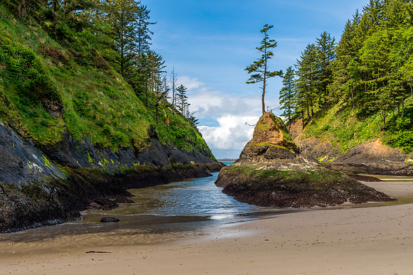 311 Dead Man's Cove