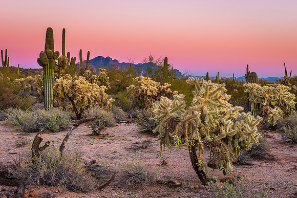 1110 Superstition Sunset