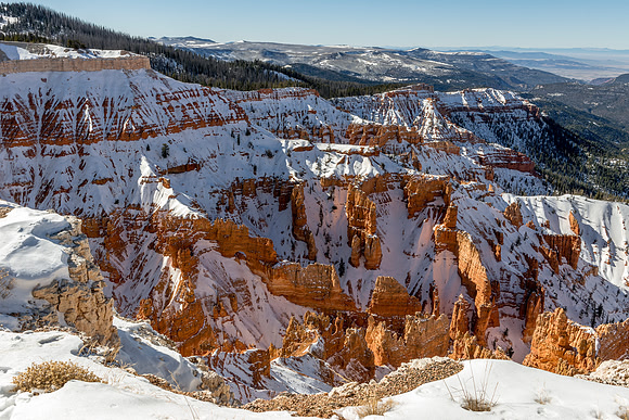 1339 Snow Covered Cedar Breaks
