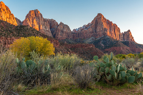 Zion National Park