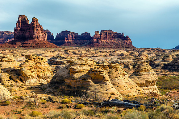 521 Diversity of Glen Canyon
