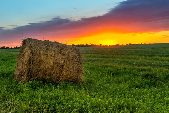 117 North Dakota Summer Sunset