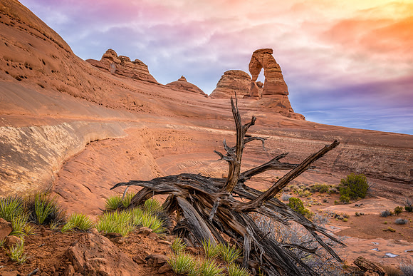 1313 Weathered Delicate Arch