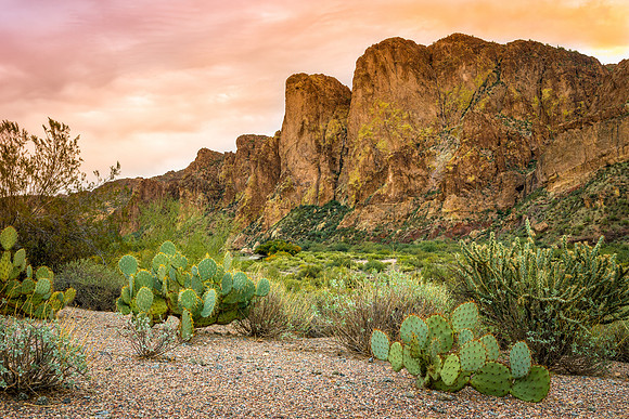 1113 Prickly Pear Sunset
