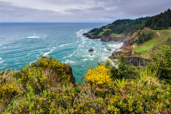 310 Wildflower Cliff