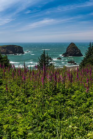 320 Floral Garden Coast