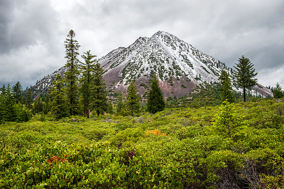 523 Spring Awakening (Black Butte - Weed, CA)