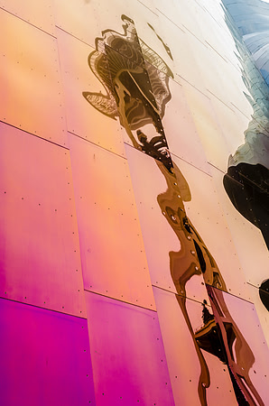 Distorted Reflections by Photographer William Dziuk