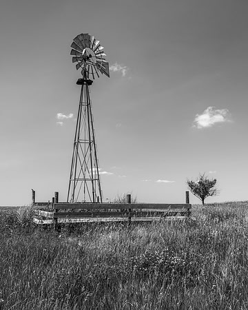 116 Country Lifeline - Black and White