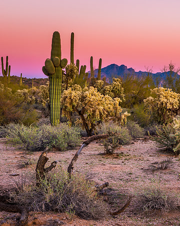 1110 V-L Superstition Sunset