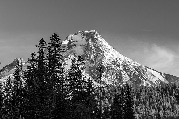 511 Mt. Hood (Black and White)