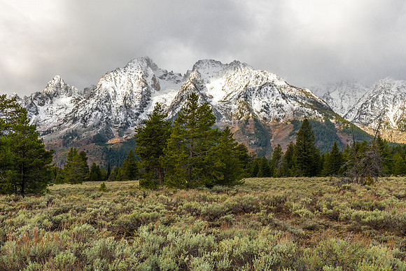 544 Snow Capped