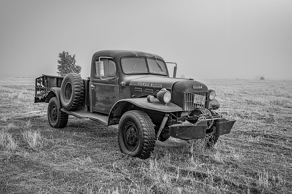 1210 Frosted Memories Black and White