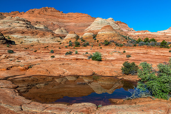 1335 Sandstone Reflections
