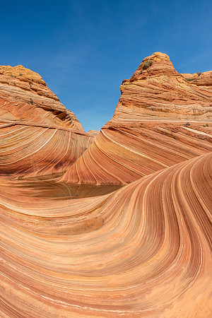 1338 Sandstone Swirls