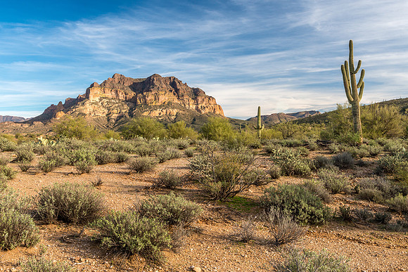 1125 Picket Post Mountain