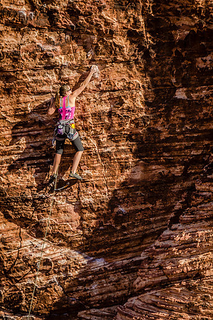 reach for the Sky by Landscape Photographer William Dziuk