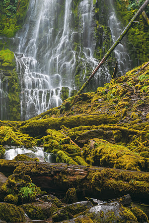 405 Lower Proxy Falls