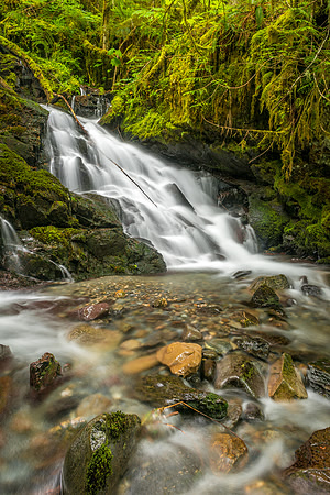 453 Rainforset Falls
