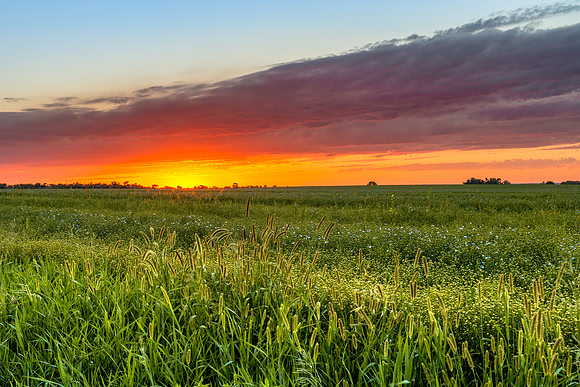 127 Colors of the Prairie