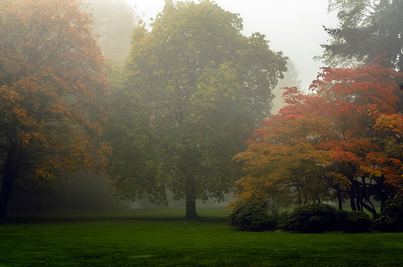 Morning Fog by Landscape Photographer William Dziuk